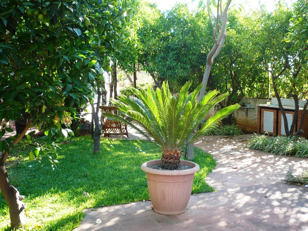 Soliva Villa